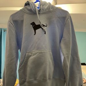 Light blue The Black Dog hoodie